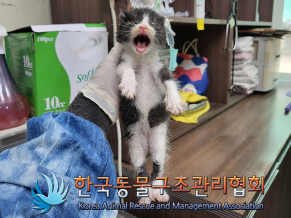 한국동물구조관리협회_441409202300929